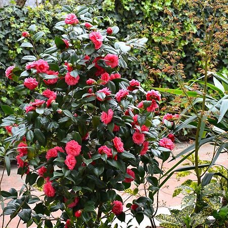 B&B Leonardo Rho Ngoại thất bức ảnh